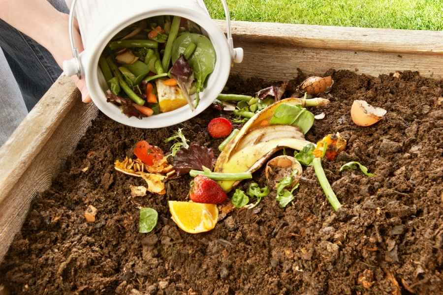 Une main déverse le contenu d'un seau blanc, composé de restes de légumes frais (épluchures, fraises), sur un lit de terreau riche et foncé formant un propre compost en extérieur.